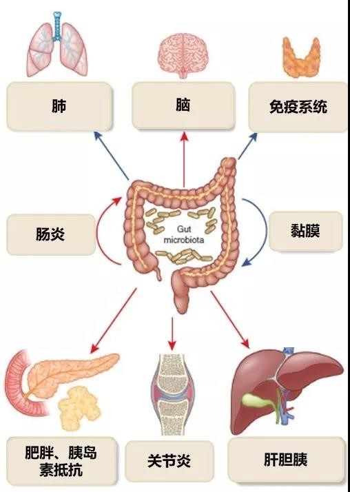 世界肠道健康日 丨 谈癌色变，绝症不绝望