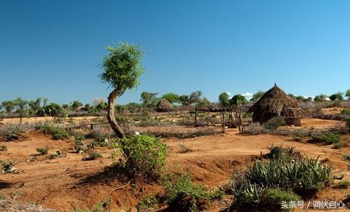 二战前,偌大的非洲只有3个独立国家,其中一国