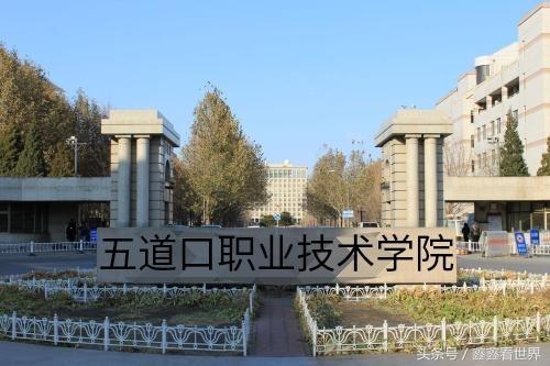 清华 五道口职业技术【相关词_清华五道口金融