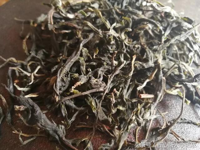 收藏貼:24款名山頭古樹開湯評測