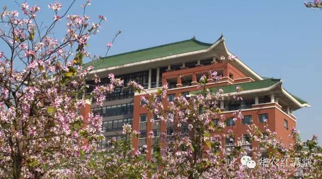 招募2019年华农寒假招生宣传志愿者的通知