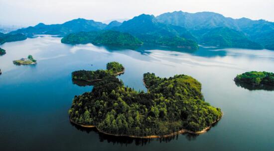 这个夏天,我们\"趣浦江\"嬉