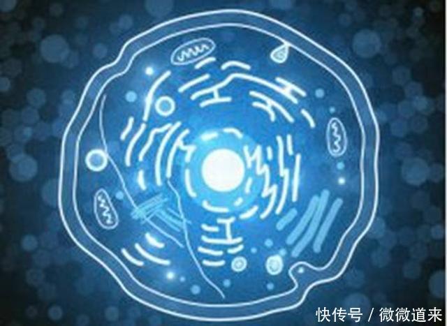 科学界最尖端的125个谜团, 诺贝尔奖在等待它们