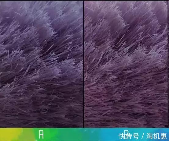 盲评小米8和一加6拍照效果对比,你猜对了吗?
