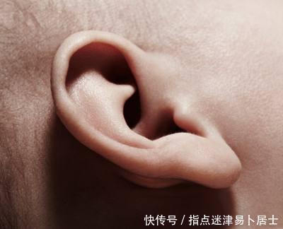 有这样的耳朵的人,一生富贵!