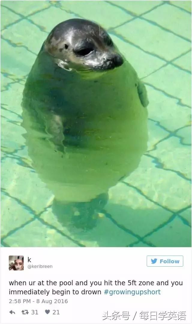 老外:活在大长腿中间的矮,才是真的矮!