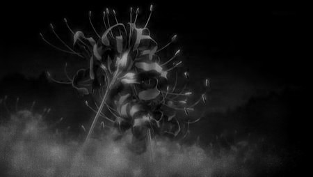 求帮PS一张黑色彼岸花图片_360问答