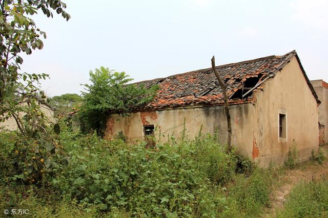 农村宅基地新规,以下这6类人将永远失去宅基地