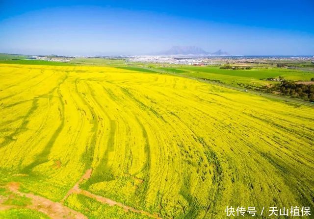 土地又改革了？有户口却没有土地，该怎么办？