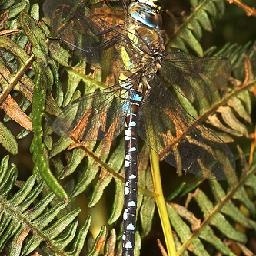 凉凉钢琴谱 钢琴弹奏中八分音符的运用4