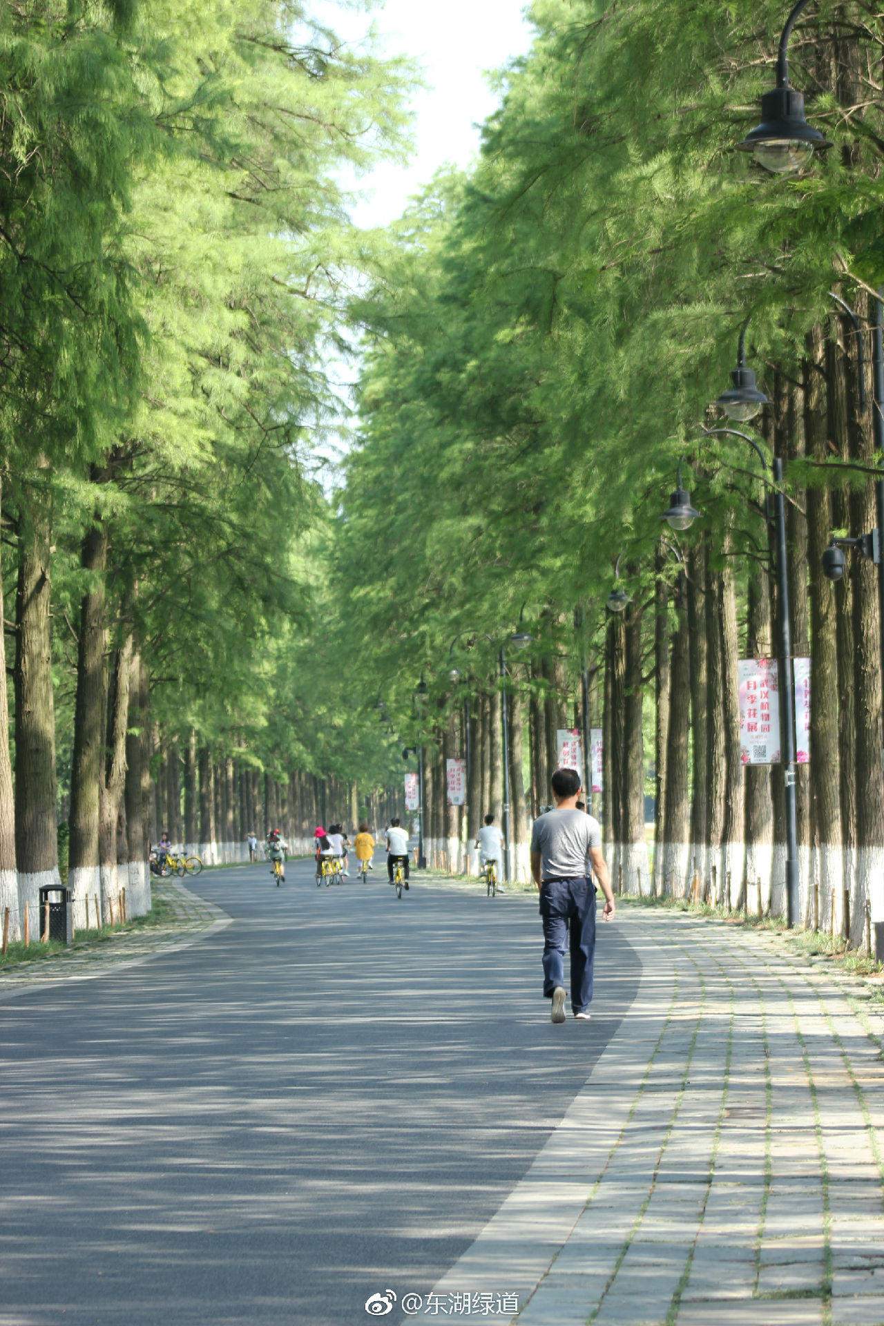 春节返乡观察之共享单车:移动牛皮藓大煞城市风景