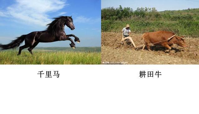 春秋战国故事《物各有短长》,甘戊使齐与船人