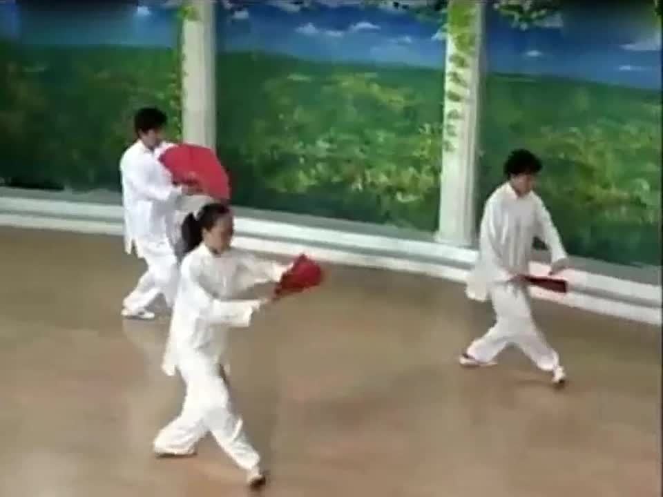 cc v4《体验真 功夫 》第三集 杨氏太极拳(没有公开播 ...