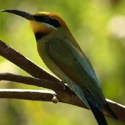 东航宣传片《心跳》真实故事改编,当空姐说出