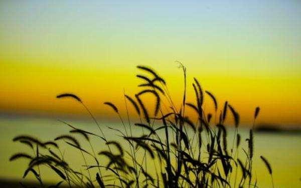 李商隐的一首诗,表达出诗人乐观开朗的胸襟,内