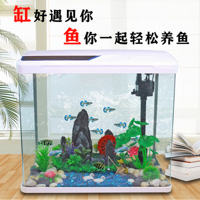 徐州水族批發(fā)市場地址在哪里呀（徐州水族批發(fā)市場地址在哪里呀電話）