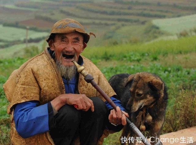 男人长寿很简单，一种蔬菜磨成粉，天天早上冲着喝