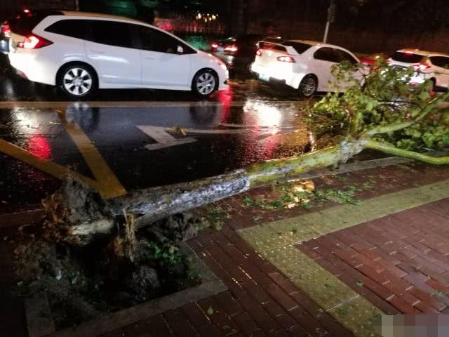 山东青岛下冰雹,比鸡蛋都大,轿车都被砸烂了,大