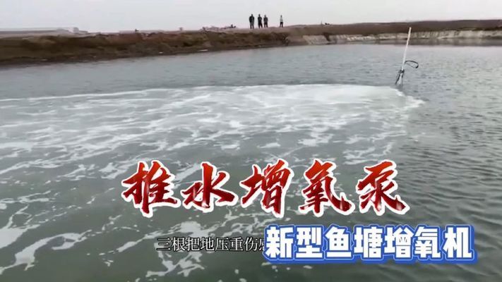 金龍魚全球排名得獎者是誰：金龍魚在全球排名中是如何確定的， 水族問答 第1張