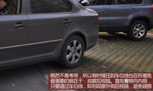 t0157eade2a2256e411.jpg?size=494x296