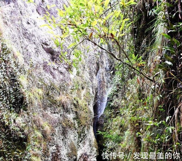 美丽中国行乡村篇湫山乡四都村环境整治 整出