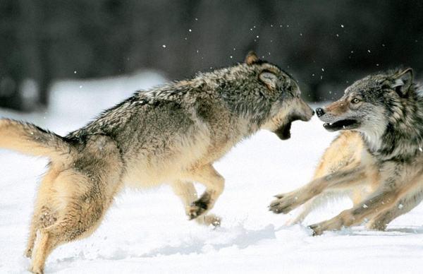 李嘉诚、马云、任正非、比尔盖茨等大佬创业名