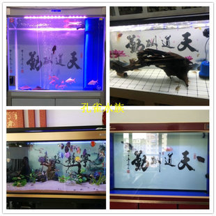 廈門觀賞魚店地址電話（廈門觀賞魚店地址電話號碼） 祥龍水族醫(yī)院