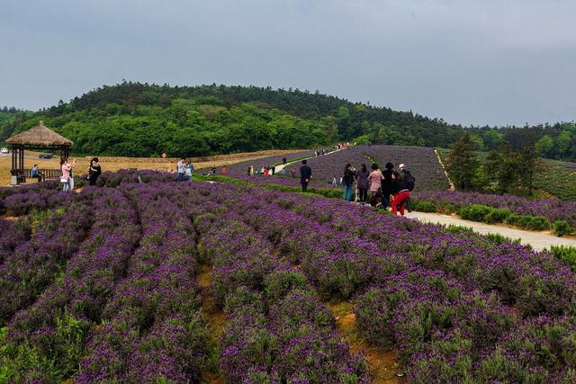 江苏省内最适合情侣去的十大地方,有带过去玩