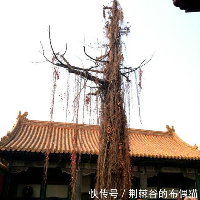 北京故宫故宫博物院六宫中特殊的两个宫翊坤宫