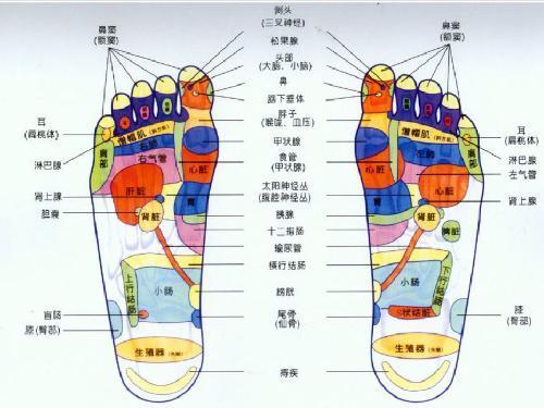 人体脚上那个关于垂体的穴位应该怎样按摩?