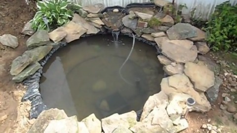 如何用轮胎建造家庭养鱼池
