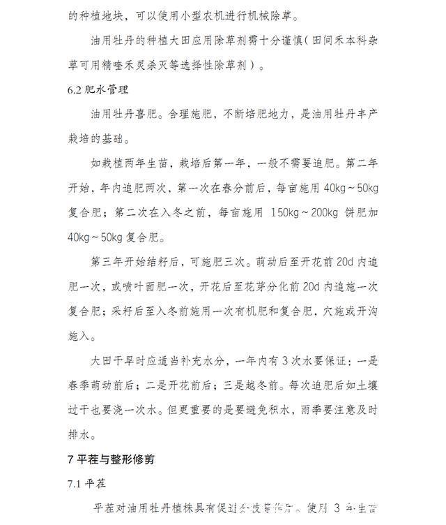 按照这9个条件去建设，才能申报油用牡丹示范项目补贴资金！