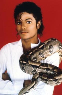 迈克尔杰克逊怎么变白的?_360问答