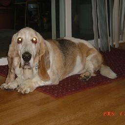 《涛声依旧》残疾流浪歌手 街头卖唱 为爱心加