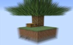 这是空岛，但是很小