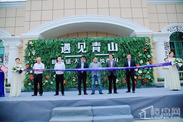 倾城之作,邕脉盛境|锦悦青山营销中心开放