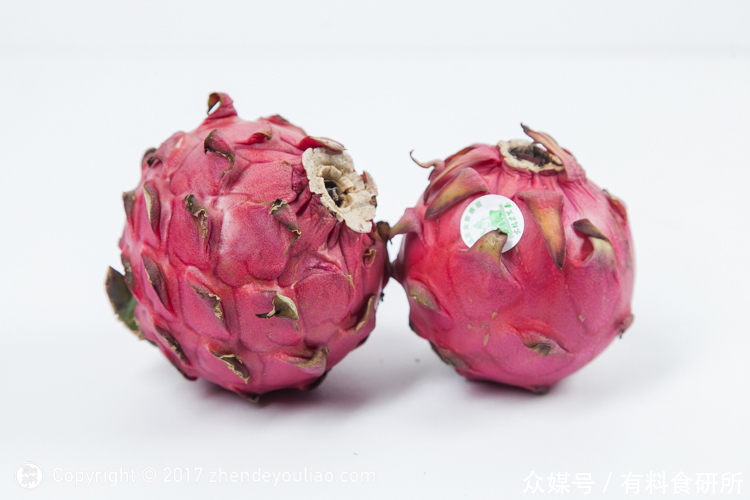 两招教你从外观一眼分辨 红心火龙果 和 白心火