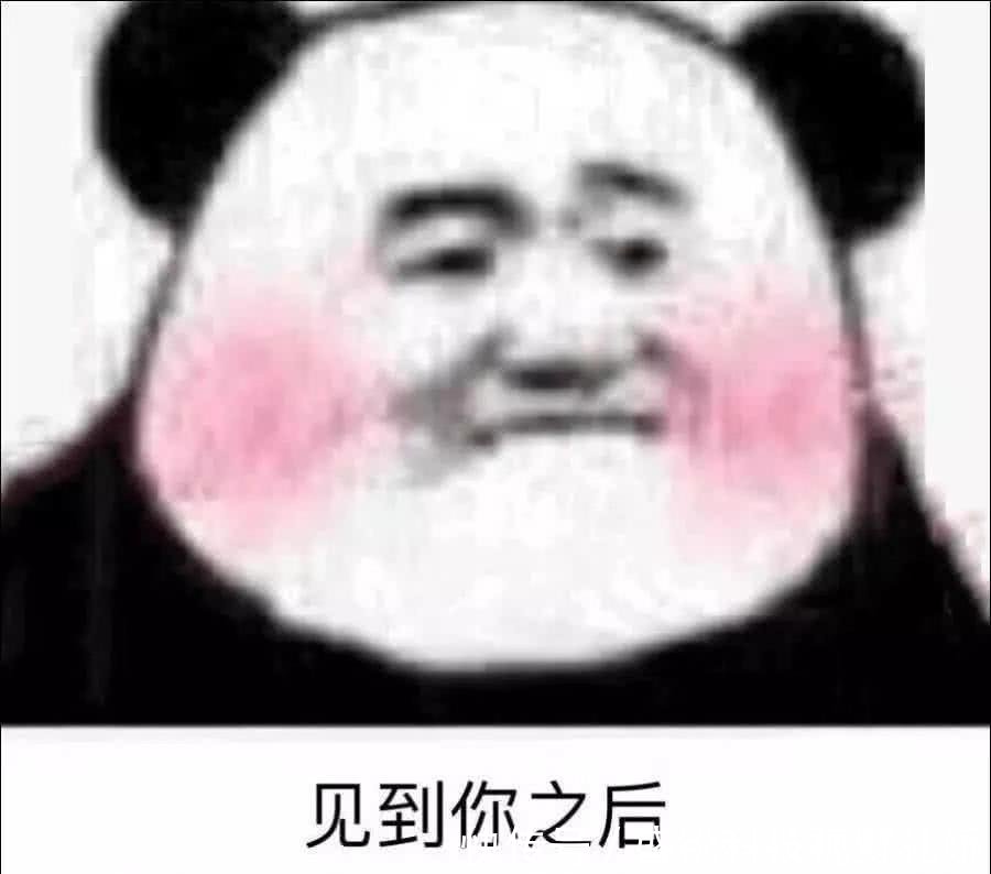撩到女生荷尔蒙v女生的表情,是福下载祸,你猫贱表情包不是动态萌图片