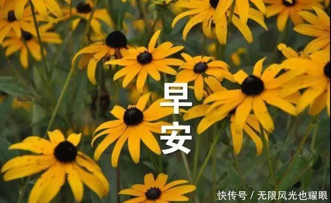 12月最新漂亮早上好图片表情脸图各样表情包的各色带字,最漂亮早晨图片