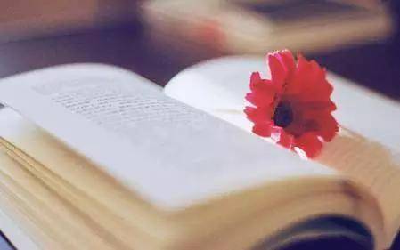 有人说,人生最幸福的事莫过于此