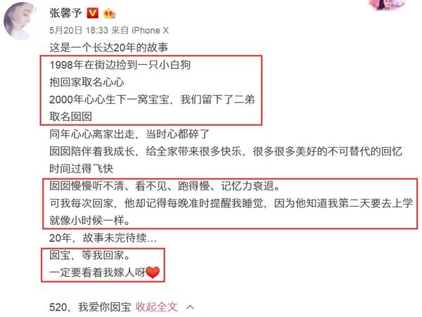 张馨予拿杨梅逗狗被痛骂,吓得她赶紧晒出这张照片