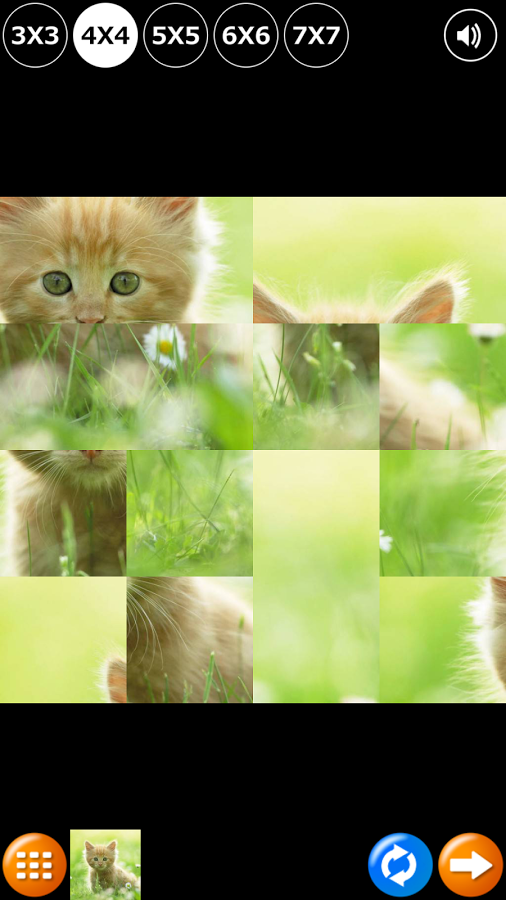 t01647457f727075aa1.png