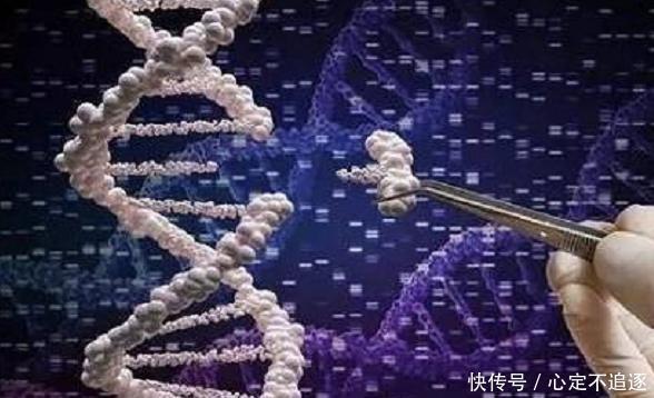 霍金的预言?中国基因编辑婴儿诞生,可天然抵