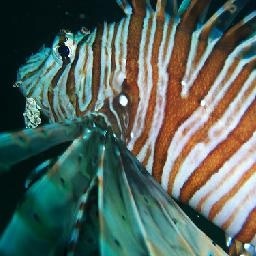 这首歌从大陆唱到台湾,大陆版翻唱最好听!