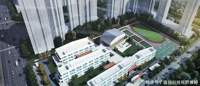 下关经开区引进大理一中初中部、大理州实验小小个案学生分析图片