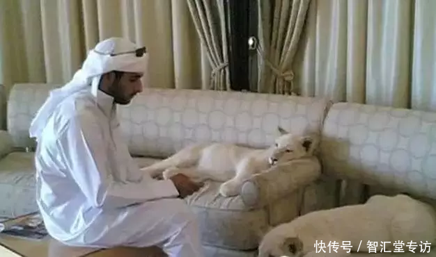 兰博基尼警车、疯狂的建筑、不可思议的宠物......这是迪拜人的生