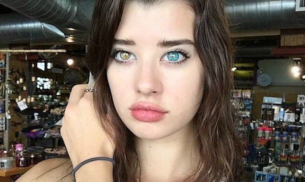 t016869cfbeb45eeb0d.jpg