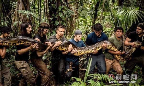 最大蛇类排行:第二名蛇吞象,第一大到难以想象!