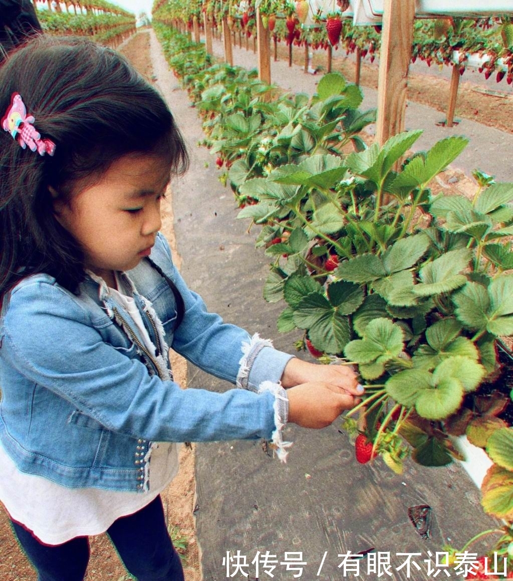 章子怡被曝怀二胎后晒与醒醒的农场游玩照,母