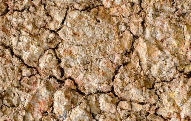 知道你家的盆土是酸性还是碱性?教你一眼认出